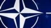 Міністар абароны Літвы: вучэньні «Захад» сталі праблемай ня толькі нашай, а ўсяго блёку NATO, і гэта наш выйгрыш