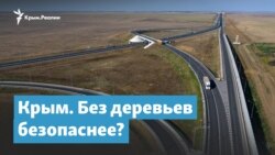 Крым. Без деревьев безопаснее? | Крымский вечер