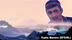 Муцураев Тимур, архиверан сурт